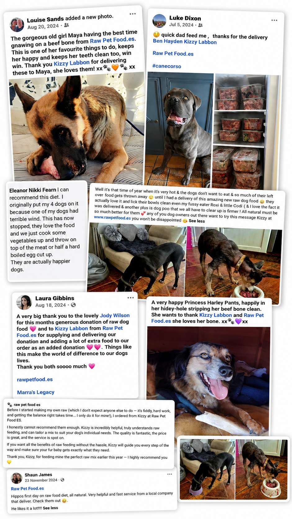 Customer reviews for Raw Pet Food ES
