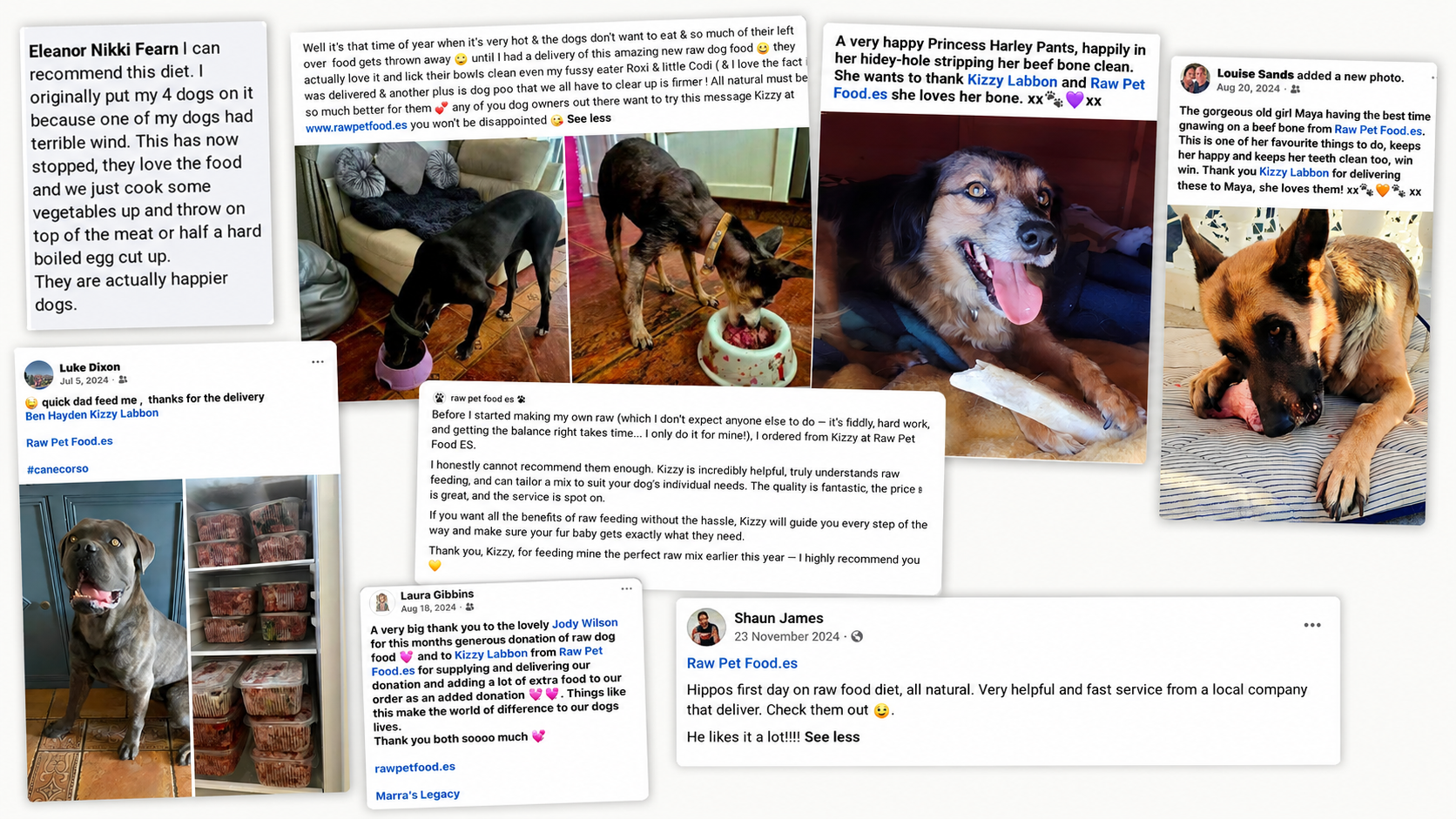 Customer reviews for Raw Pet Food ES